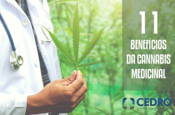11 benefícios da Cannabis medicinal