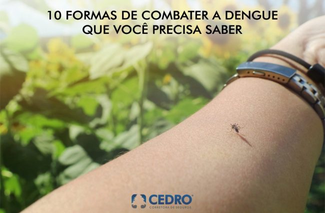10 formas de combater a dengue que você precisa saber!